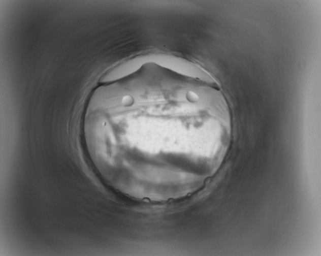 X0000088740049200706282152