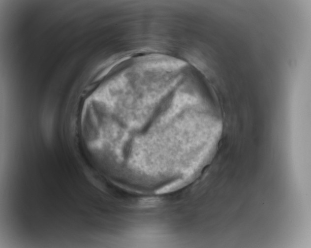 X0000088740050200706282152
