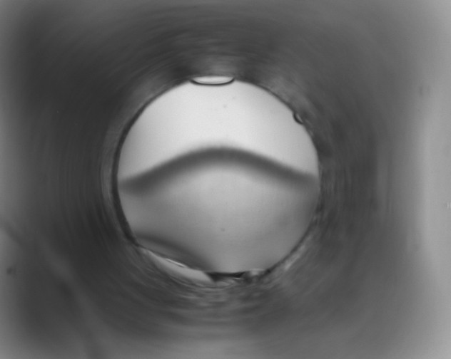 X0000088740051200706282152