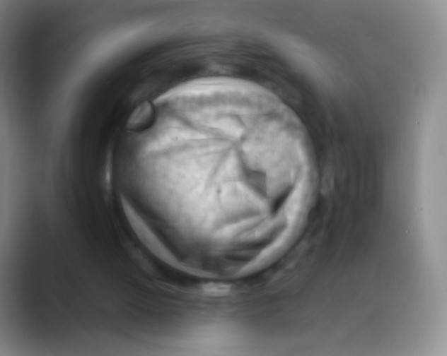 X0000088740052200706282152