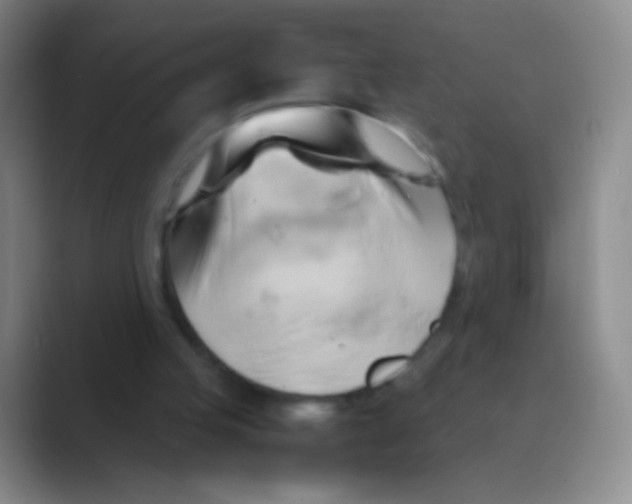 X0000088740053200706282152
