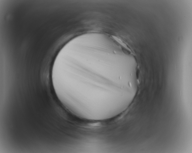 X0000088740054200706282152