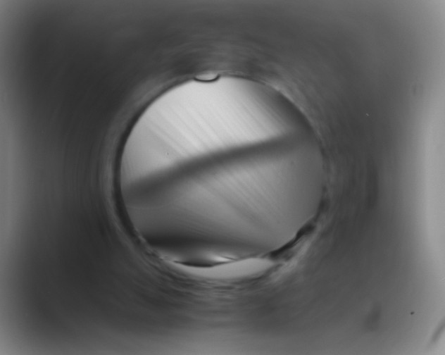 X0000088740055200706282152