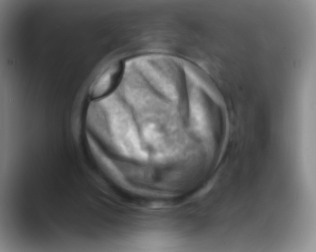 X0000088740056200706282152