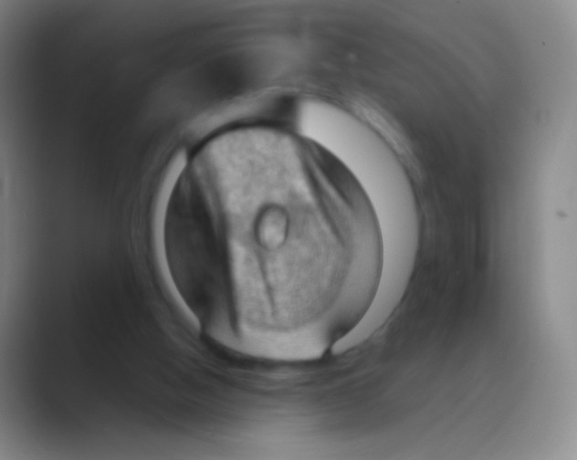 X0000088740058200706282153