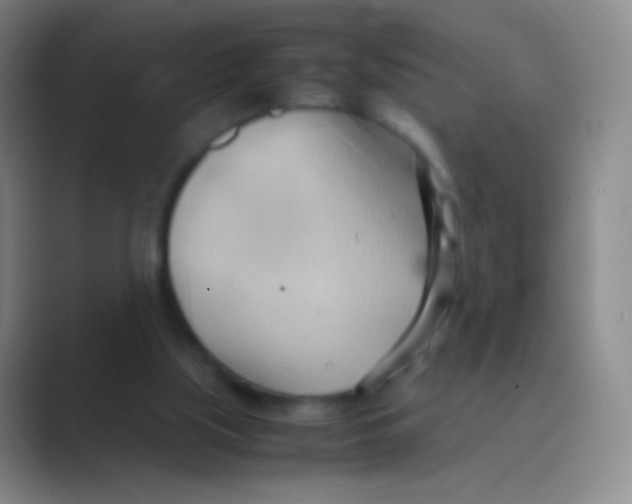 X0000088740059200706282153