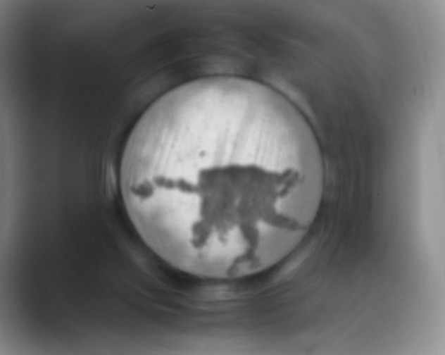 X0000088740061200706282153