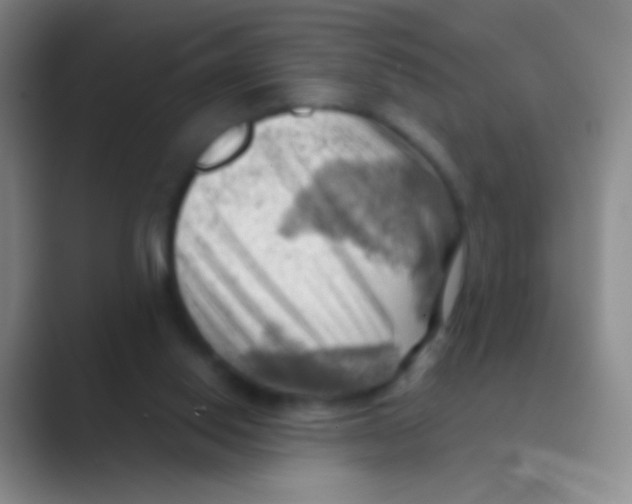 X0000088740062200706282153