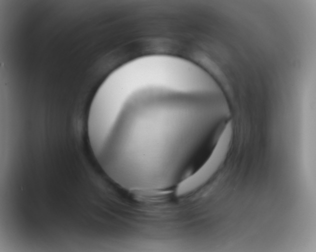 X0000088740063200706282153