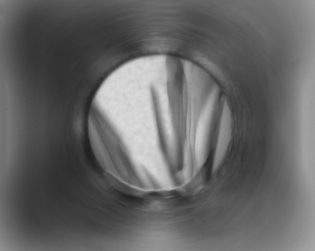X0000088740064200706282153