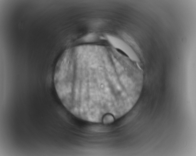 X0000088740065200706282153
