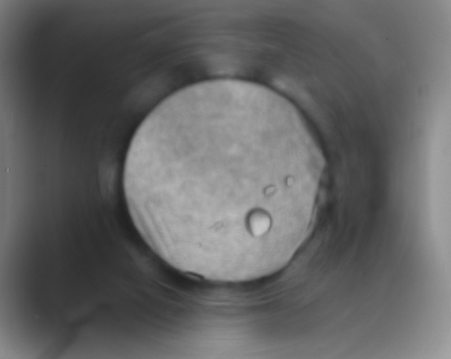 X0000088740066200706282153