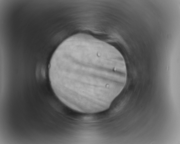 X0000088740068200706282153