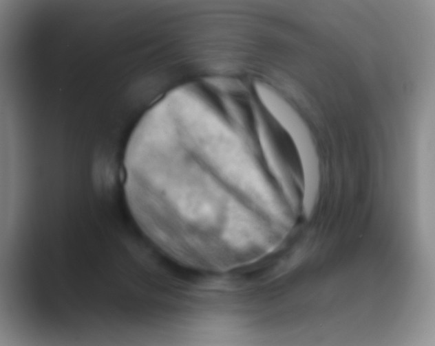 X0000088740072200706282153