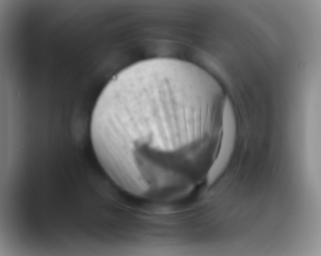 X0000088740073200706282153
