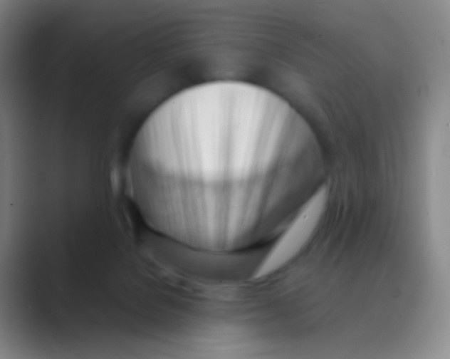 X0000088740076200706282153