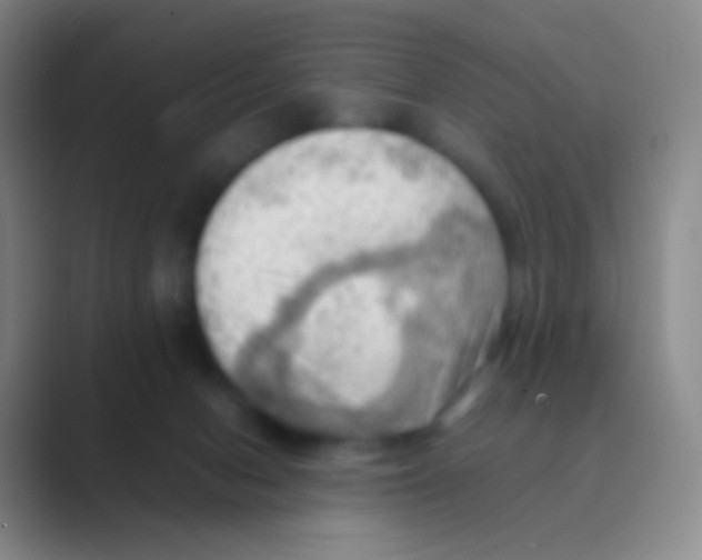 X0000088740078200706282153