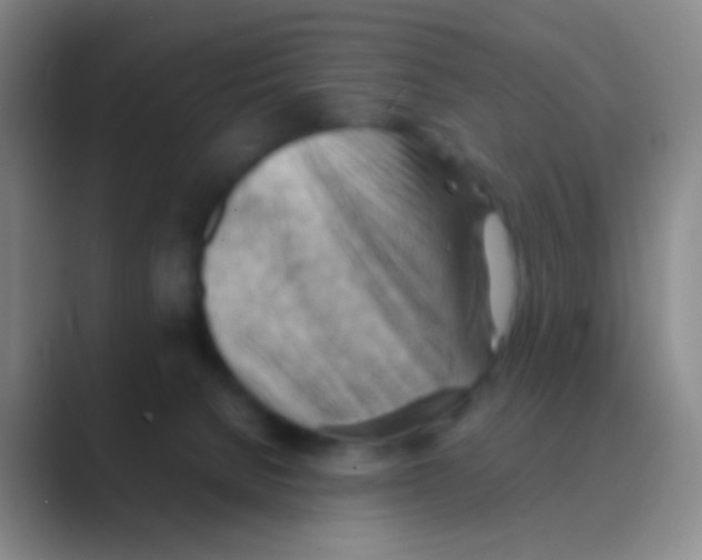 X0000088740080200706282153