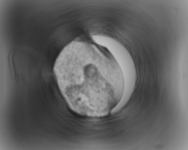 X0000088740085200706282153