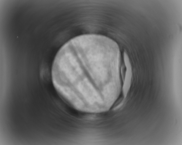 X0000088740086200706282153