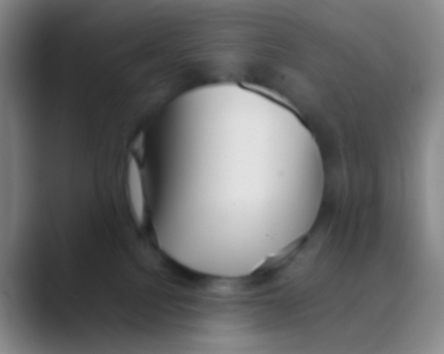 X0000088740088200706282153