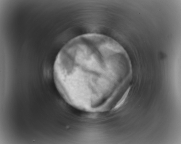 X0000088740090200706282153