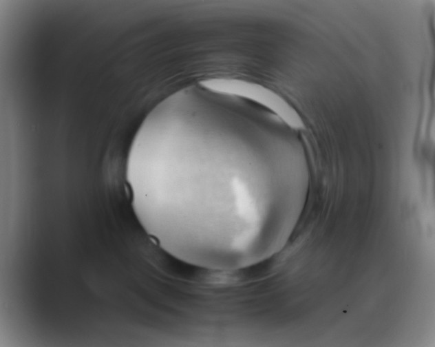 X0000088740093200706282153