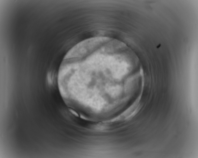 X0000088740094200706282153