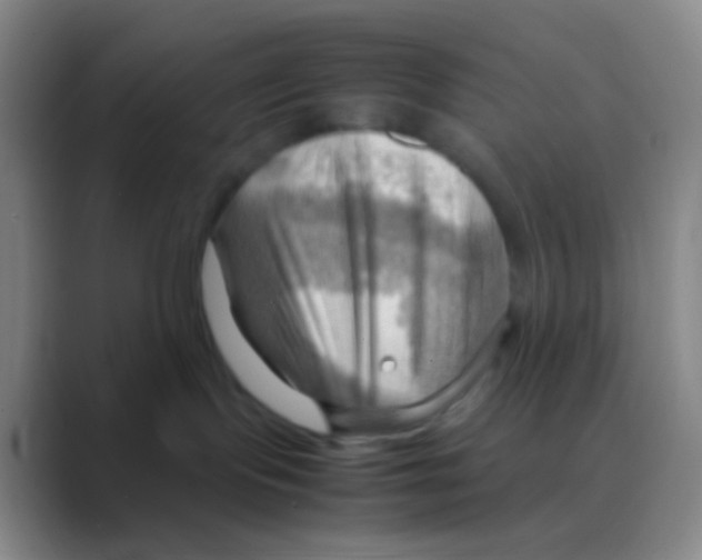 X0000088740095200706282153