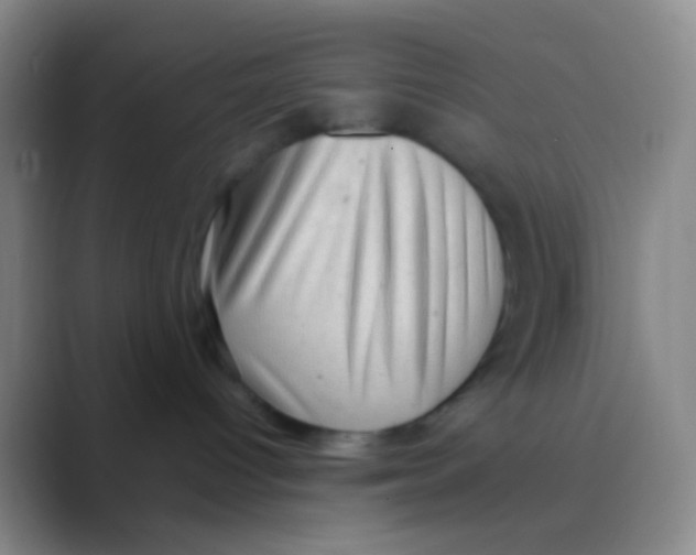 X0000088740096200706282153