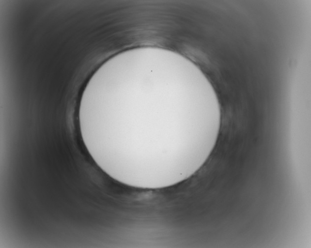 X0000088740098200706282152