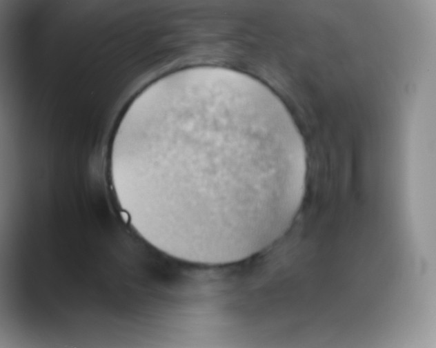 X0000088740100200706282152