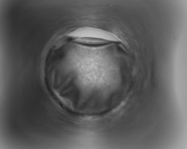 X0000088740101200706282152