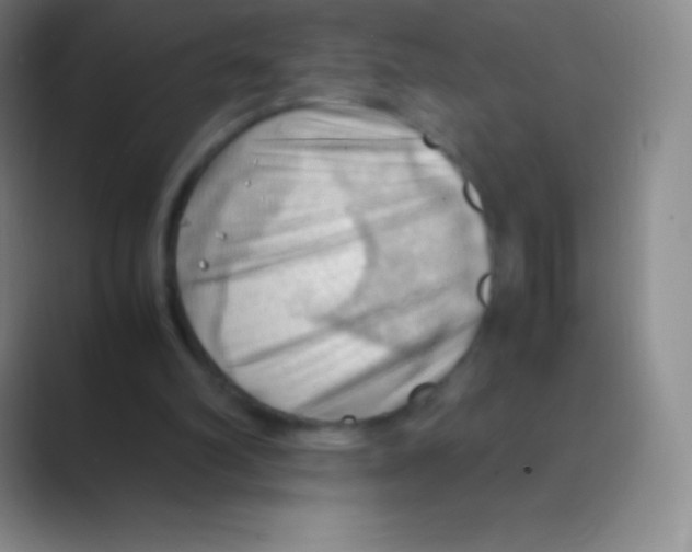 X0000088740102200706282152