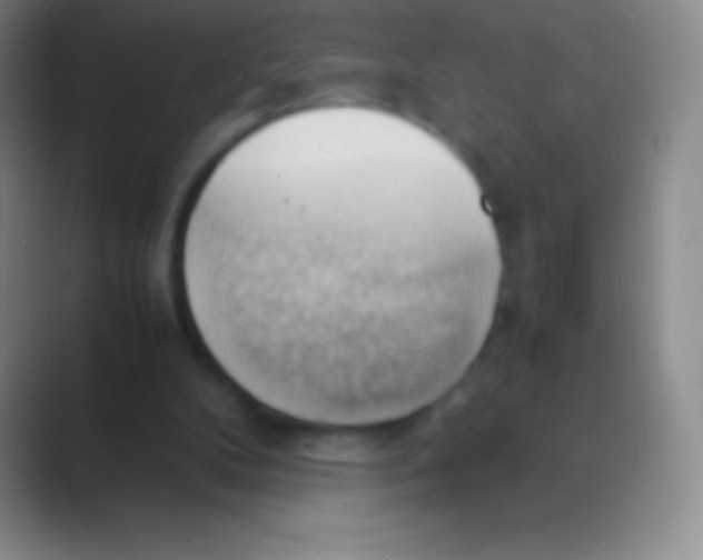 X0000088740104200706282152