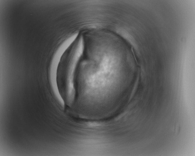 X0000088740105200706282152