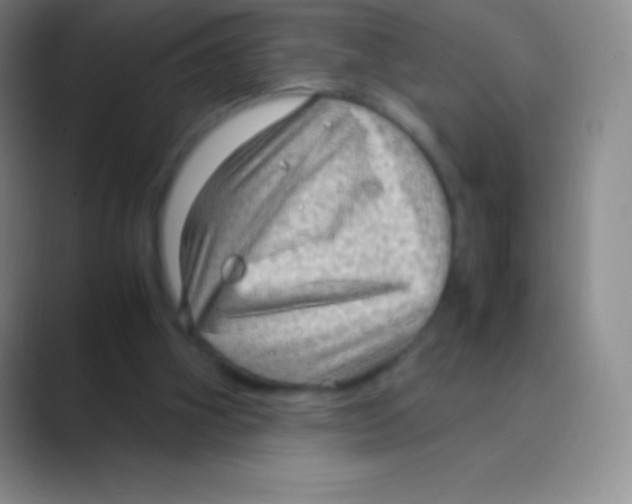 X0000088740106200706282152