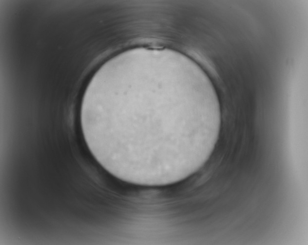 X0000088740108200706282152