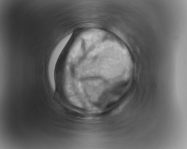 X0000088740109200706282152