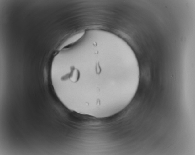 X0000088740110200706282152