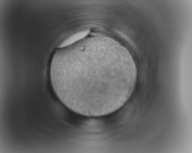X0000088740111200706282152