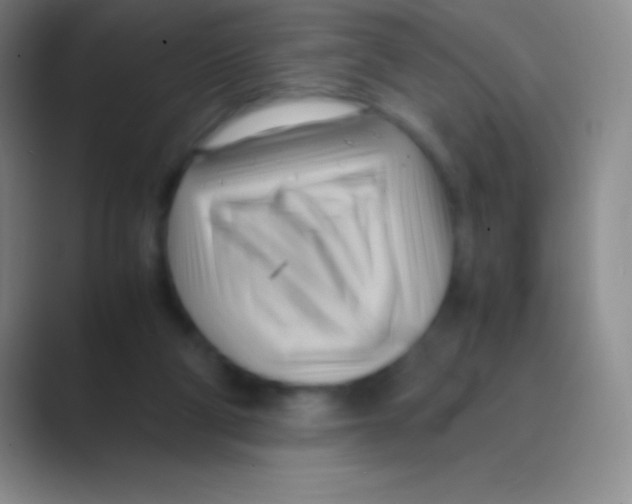 X0000088740114200706282152