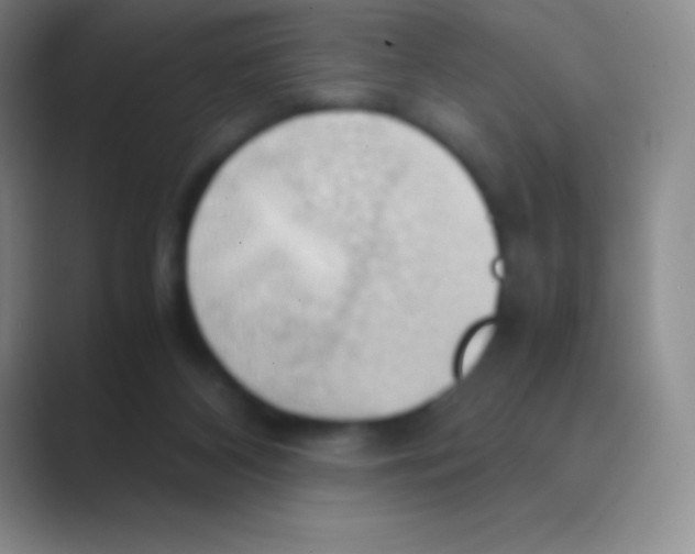 X0000088740116200706282152
