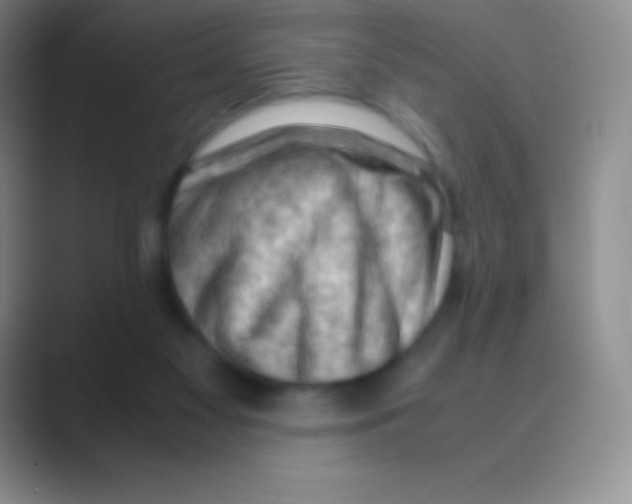 X0000088740117200706282152
