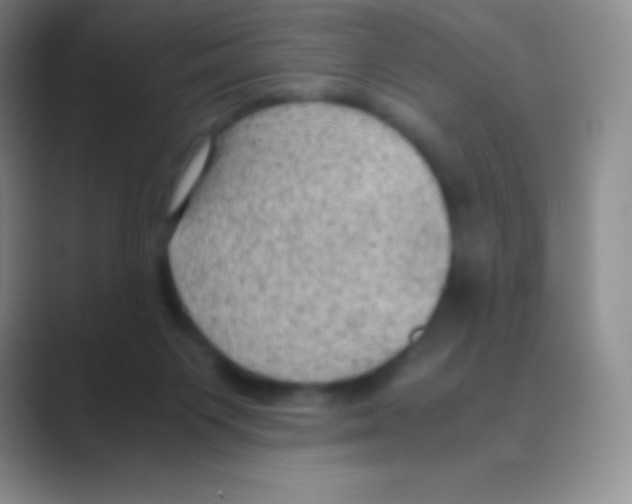 X0000088740119200706282152