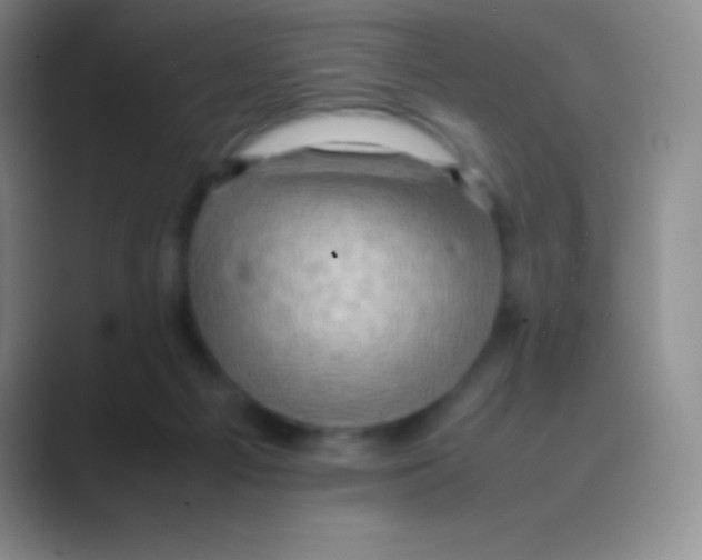 X0000088740121200706282152