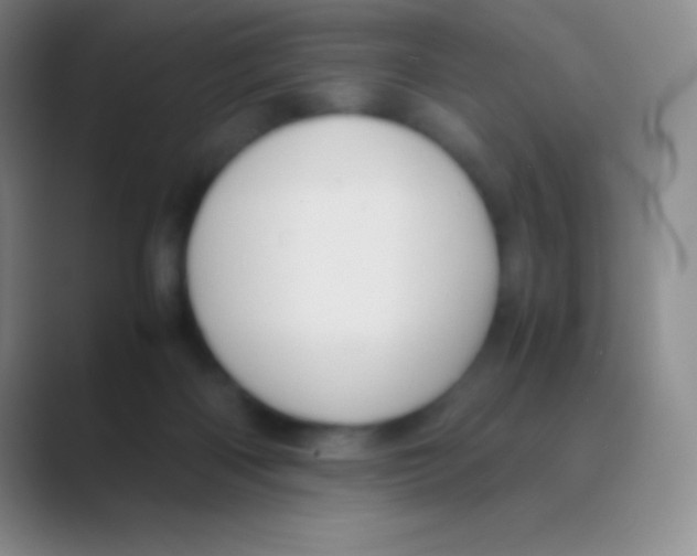 X0000088740122200706282152