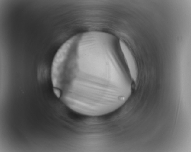 X0000088740123200706282152