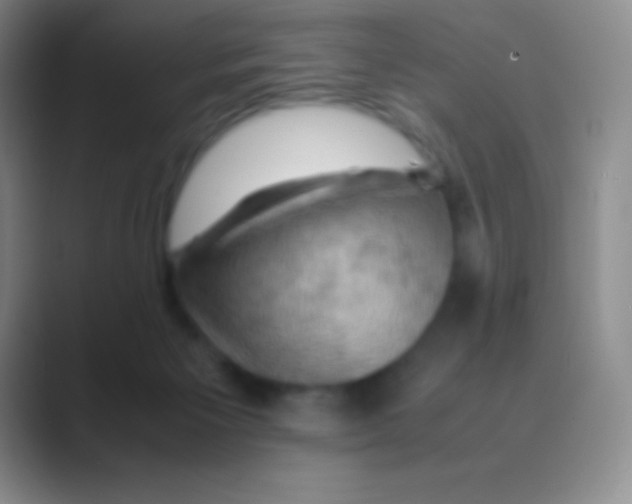 X0000088740125200706282152