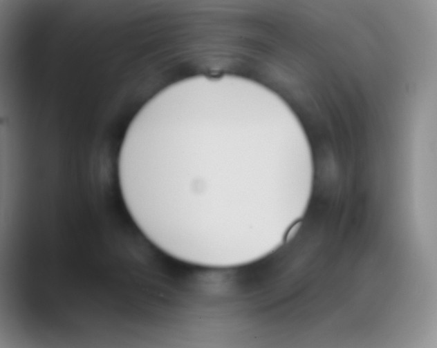 X0000088740126200706282152